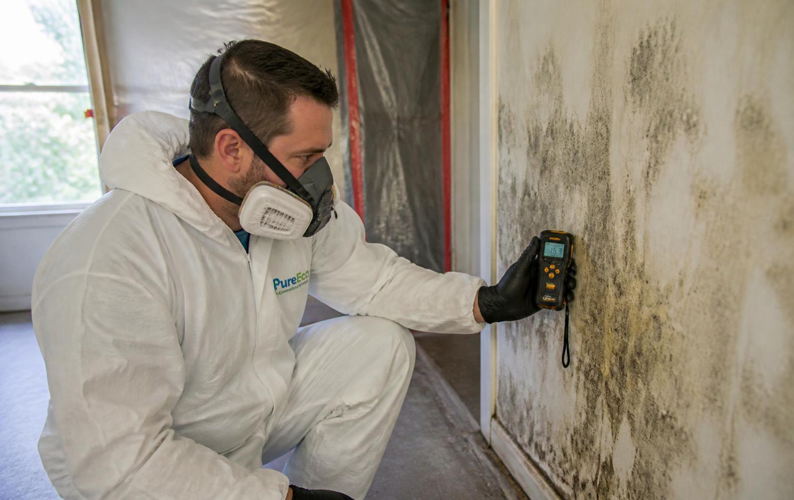 Technician in protective gear inspecting a mold affected wall