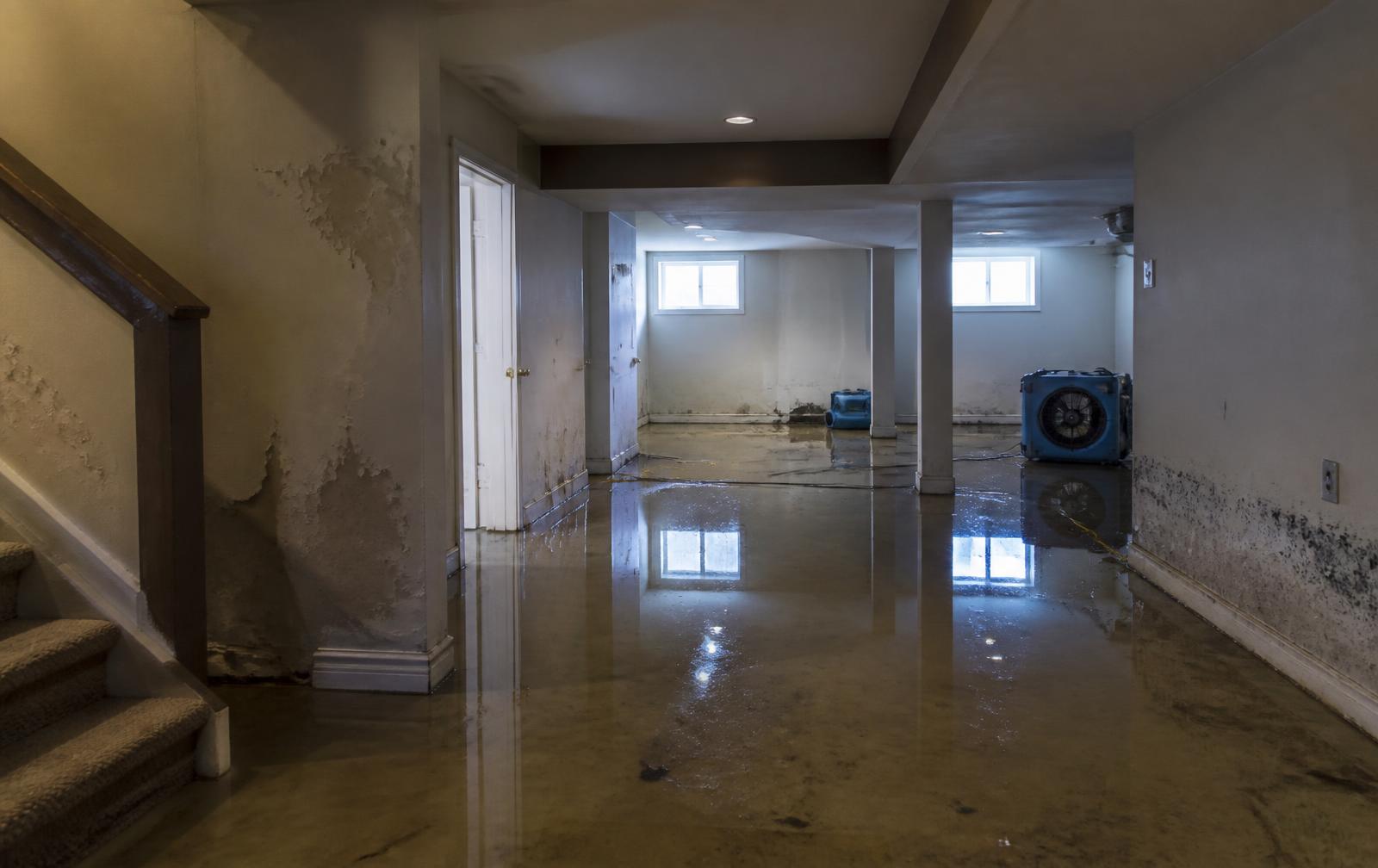 Water damaged home interior with standing water